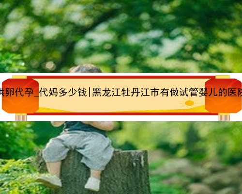 专业供卵代孕_代妈多少钱|黑龙江牡丹江市有做试管婴儿的医院吗？